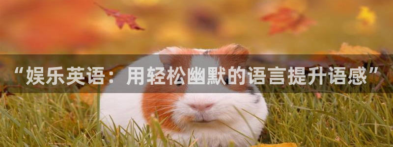 22top银河官网入口