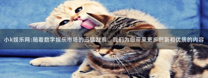 yh银河官网：小k娱乐网:随着数字娱乐市场的迅猛发展，我们为您带来更多创新和优质的内容