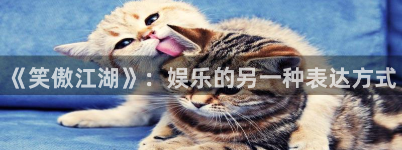 银河官网开户：《笑傲江湖》：娱乐的另一种表达方式