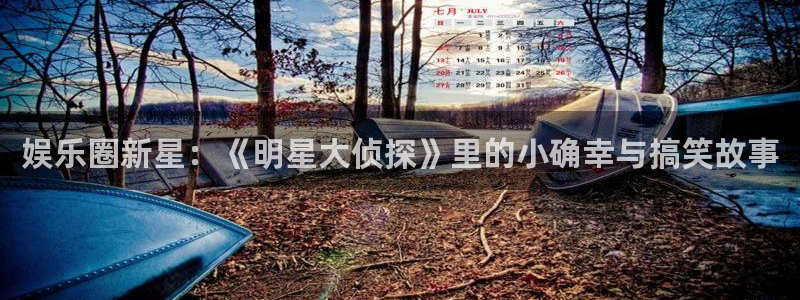 银河官网入口：娱乐圈新星：《明星大侦探》里的小确幸与搞笑故事
